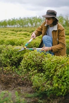 Serviços de campo